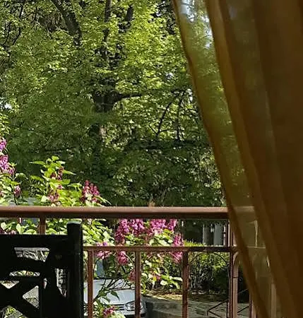 Boliari Veliko Tarnovo