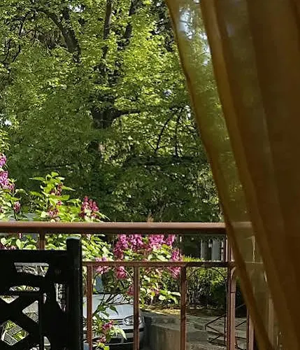 Boliari Veliko Tarnovo